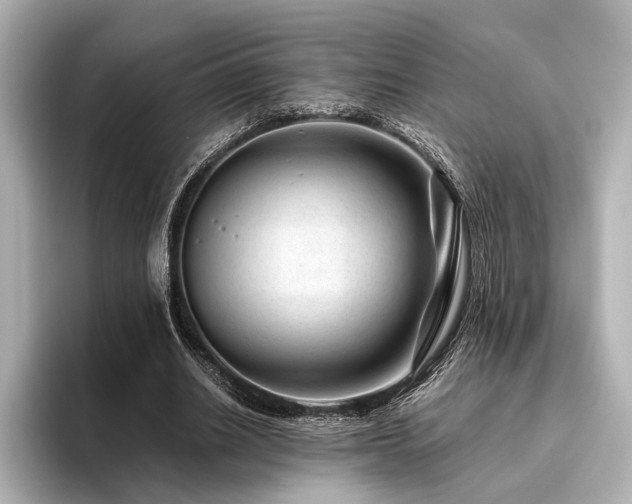 X0000096480630200801241445