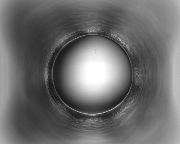 X0000096480631200801241445