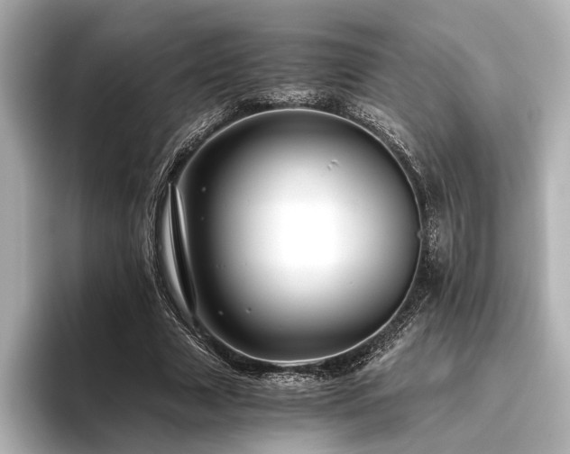 X0000096480633200801241445