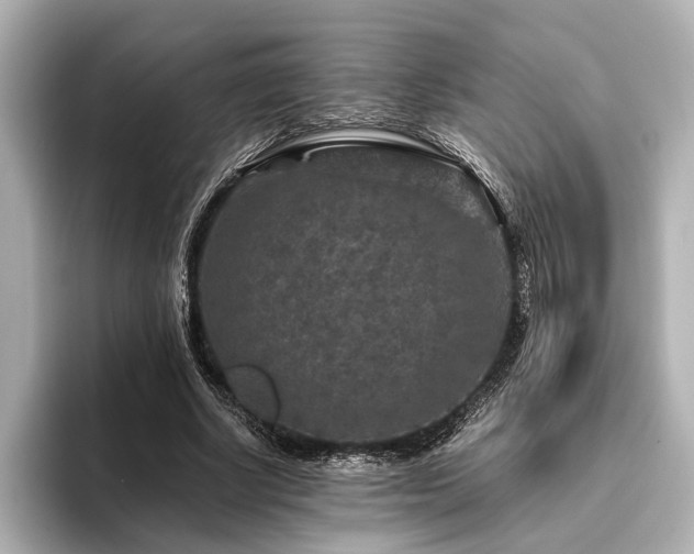 X0000096480634200801241445