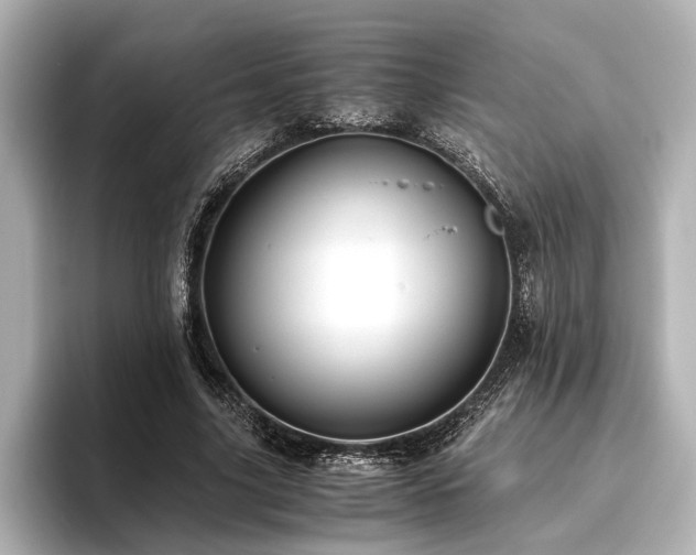 X0000096480635200801241445