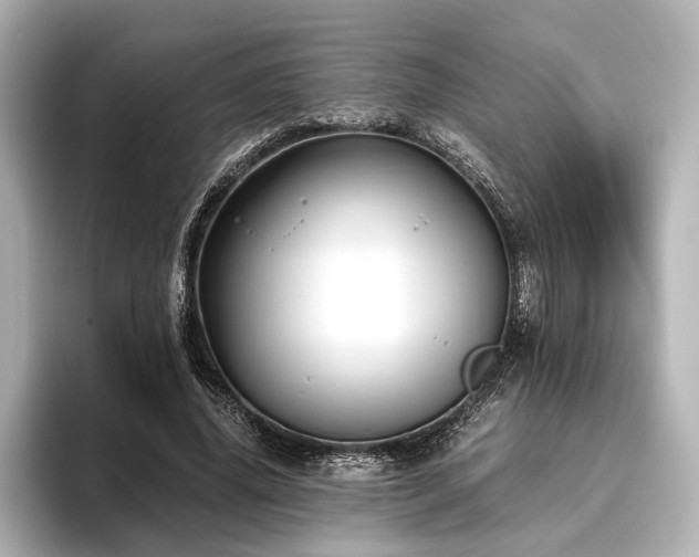 X0000096480636200801241445