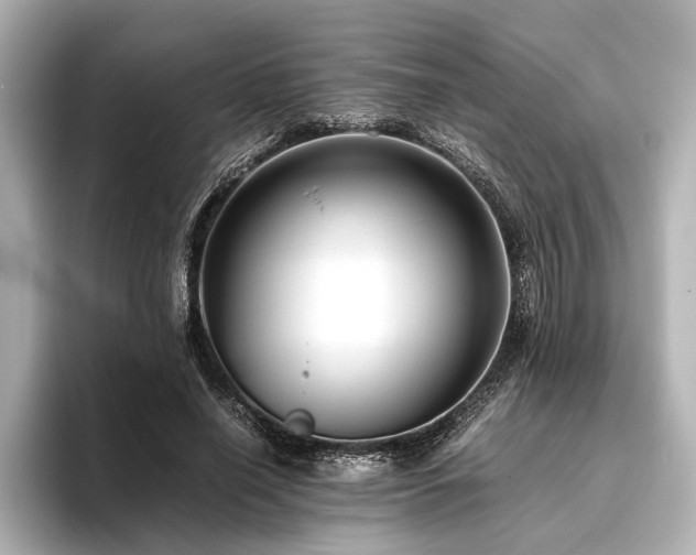 X0000096480638200801241445