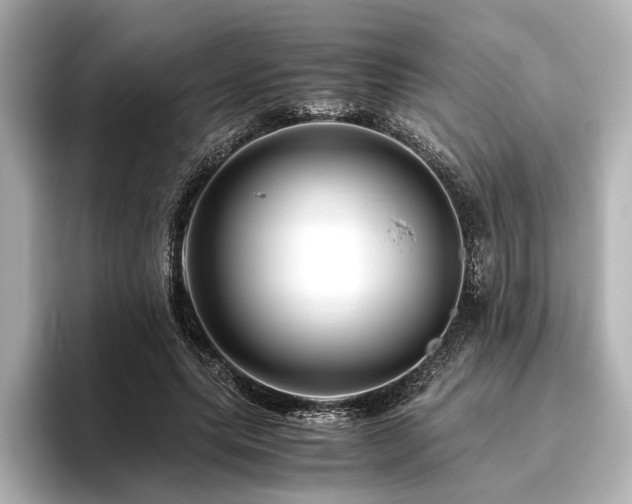 X0000096480639200801241445