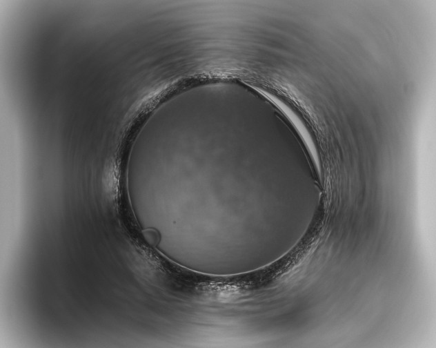 X0000096480640200801241445