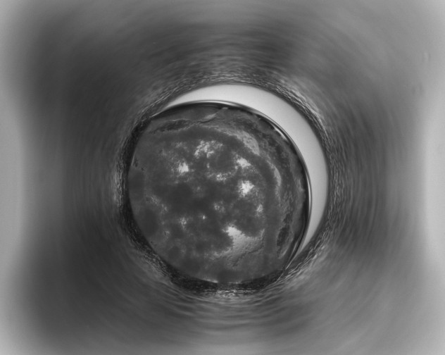 X0000096480641200801241445