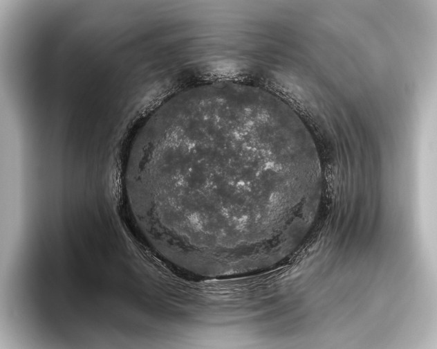 X0000096480642200801241445