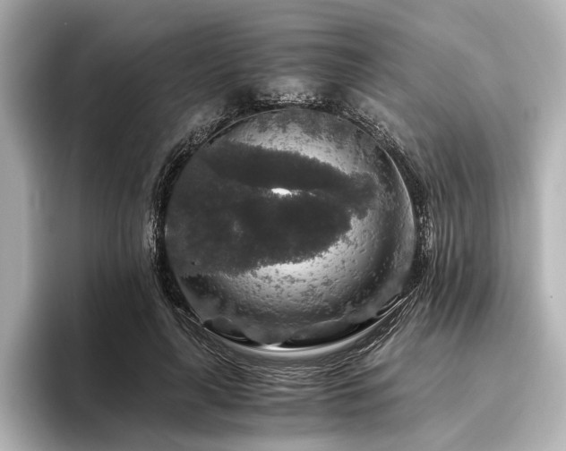 X0000096480643200801241445