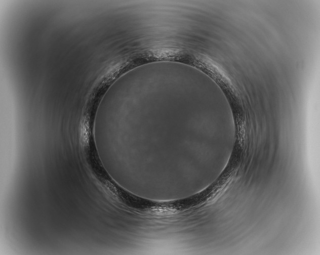 X0000096480644200801241445