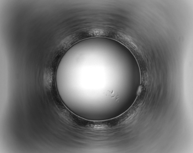 X0000096480645200801241445