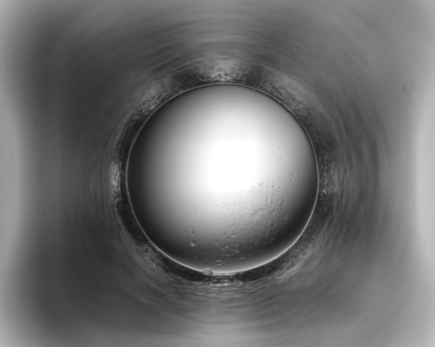 X0000096480646200801241445