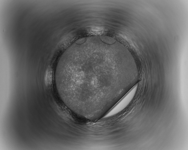 X0000096480647200801241445