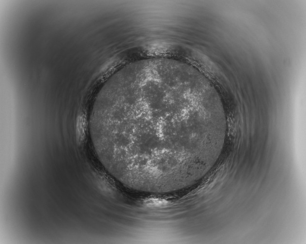 X0000096480648200801241445