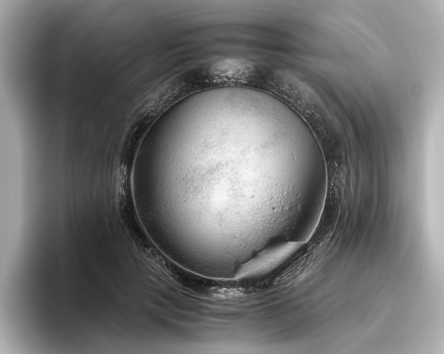 X0000096480649200801241445