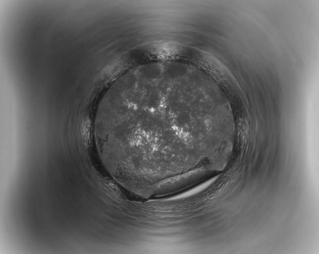 X0000096480650200801241445