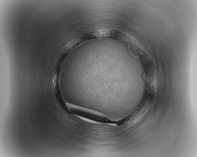 X0000096480652200801241445