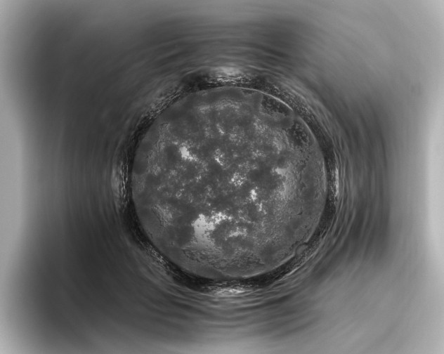 X0000096480653200801241445