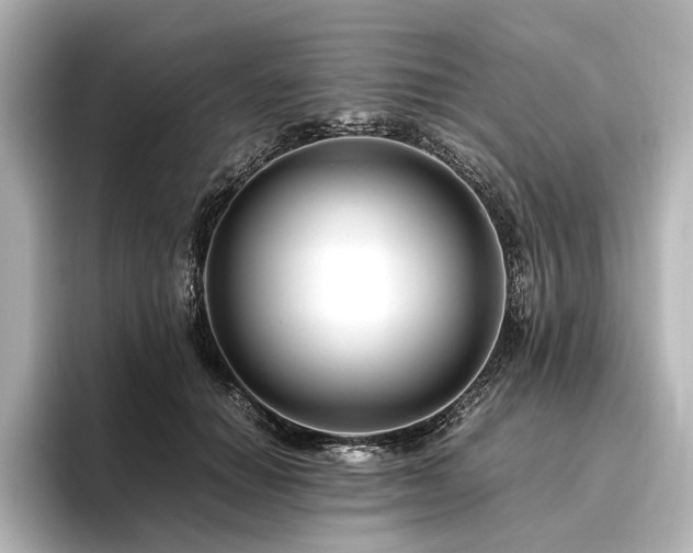 X0000096480654200801241445