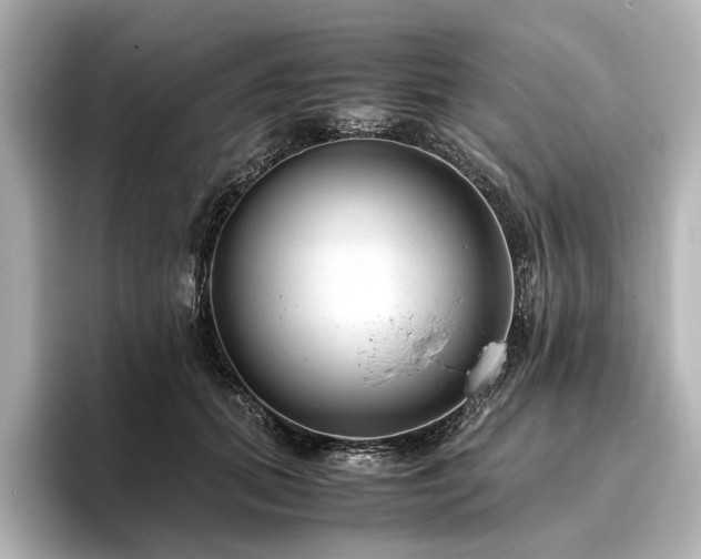 X0000096480655200801241445