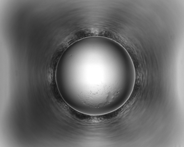 X0000096480656200801241445