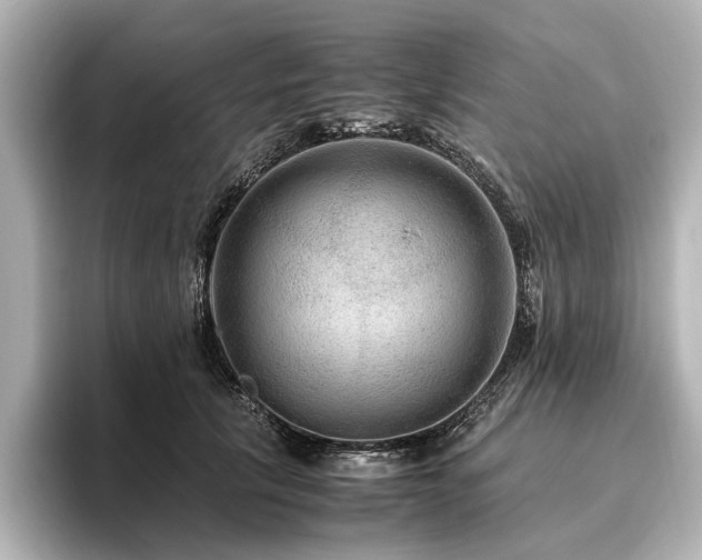 X0000096480657200801241445