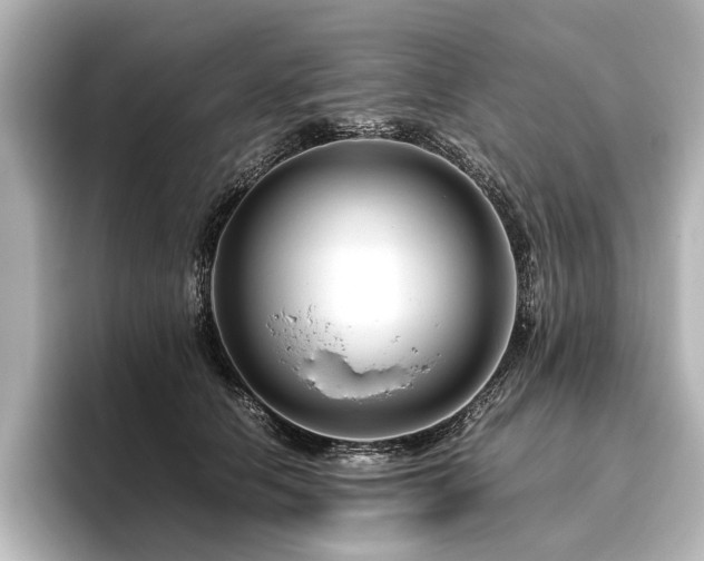 X0000096480658200801241445