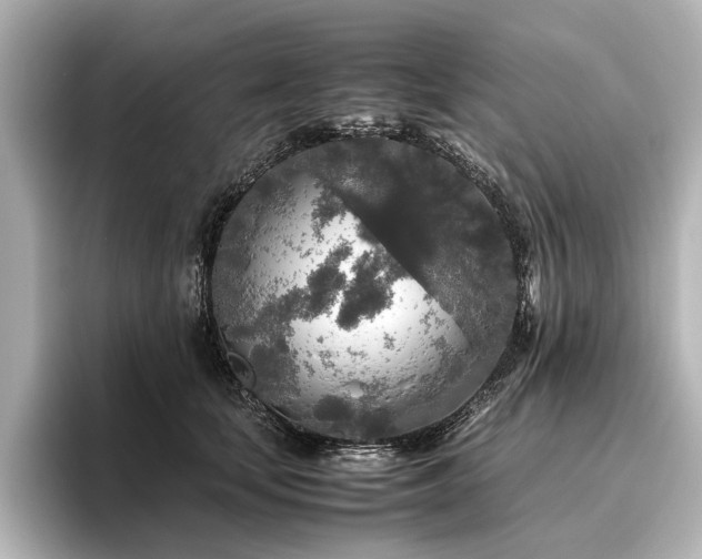 X0000096480659200801241445