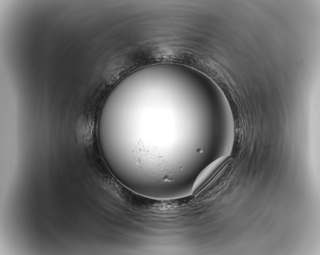 X0000096480660200801241445