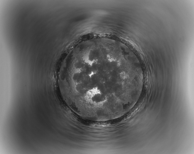 X0000096480661200801241445