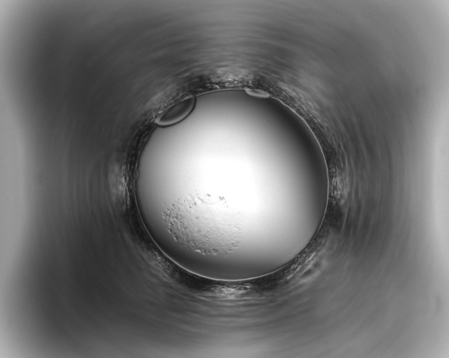 X0000096480662200801241445