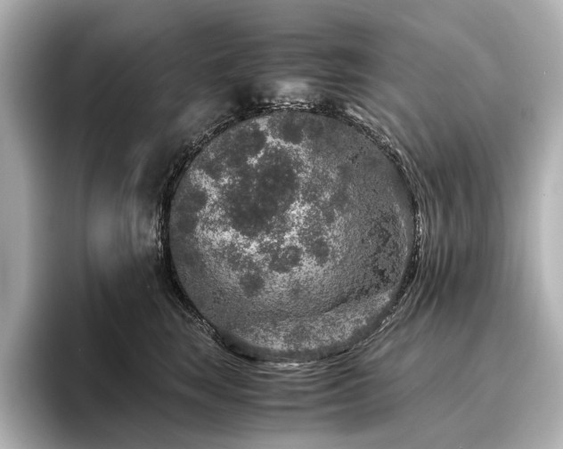 X0000096480663200801241445