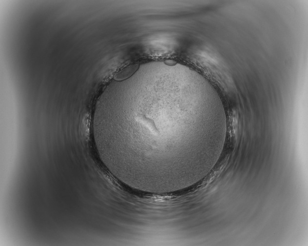 X0000096480664200801241445