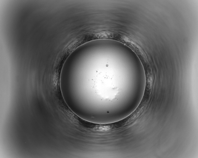 X0000096480665200801241445