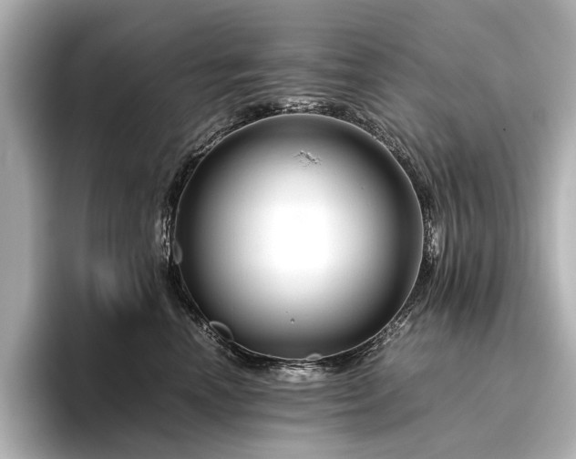 X0000096480666200801241445