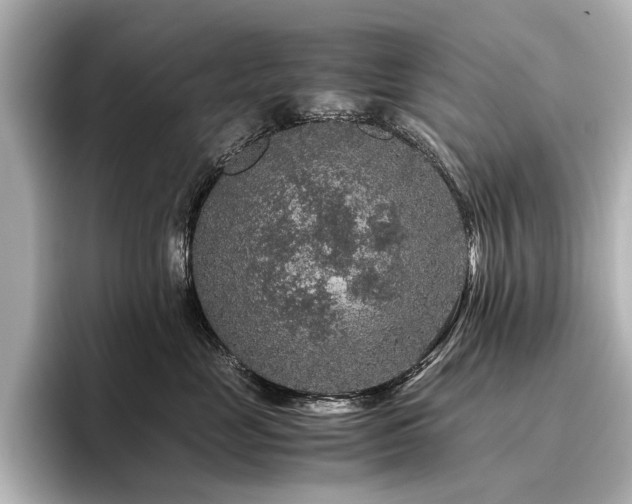 X0000096480669200801241445