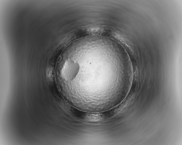 X0000096480671200801241445