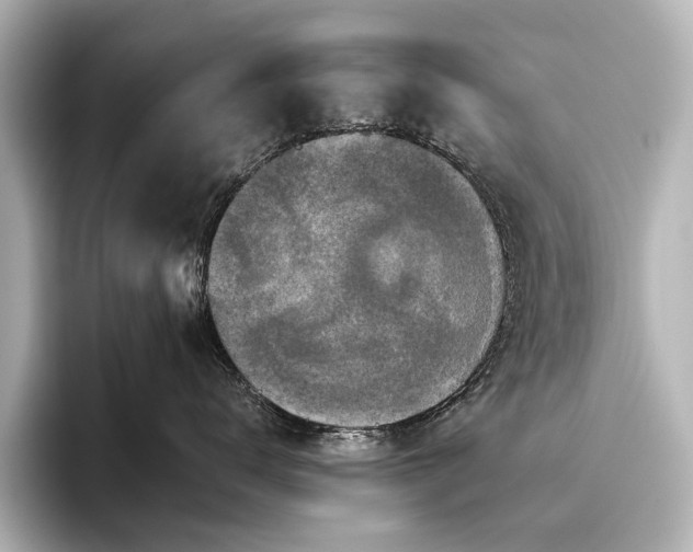 X0000096480672200801241445