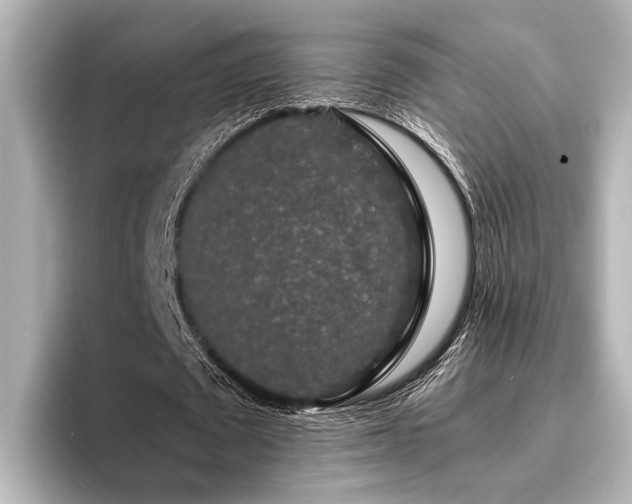 X0000096480673200801241445