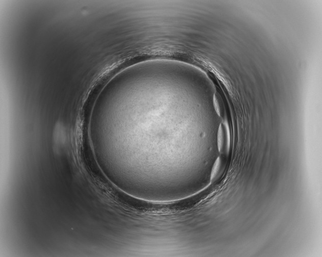 X0000096480675200801241445