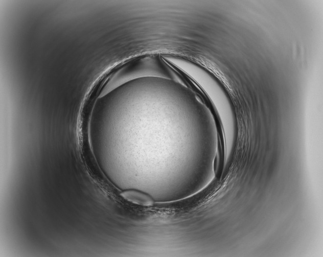 X0000096480676200801241445