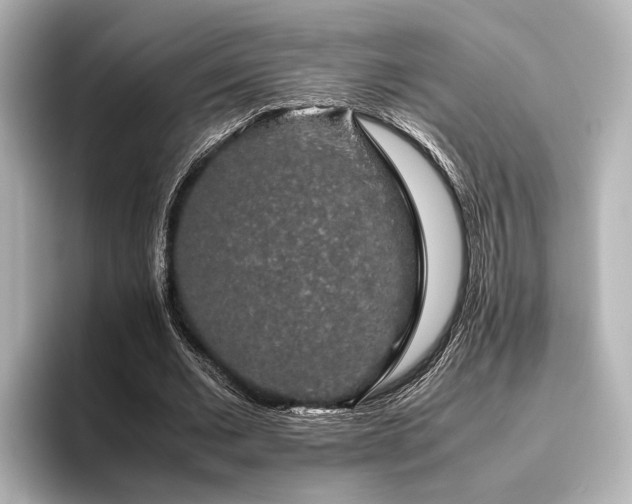 X0000096480677200801241445