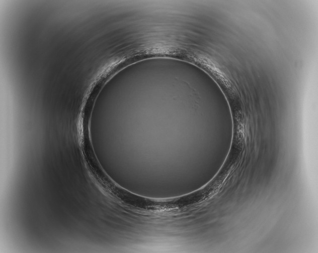 X0000096480678200801241445