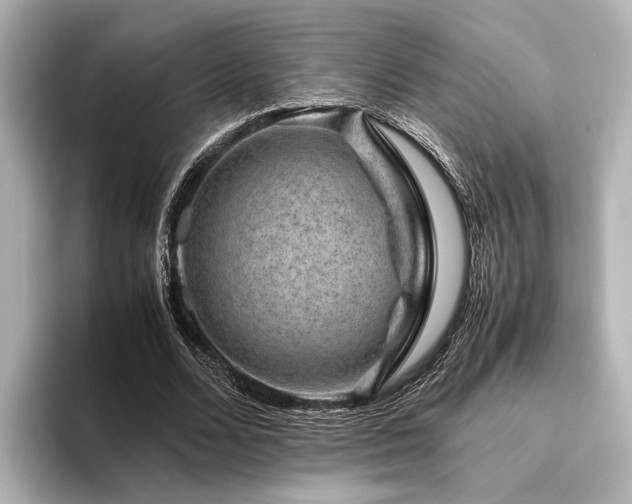 X0000096480680200801241445