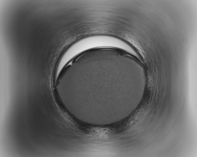 X0000096480681200801241445