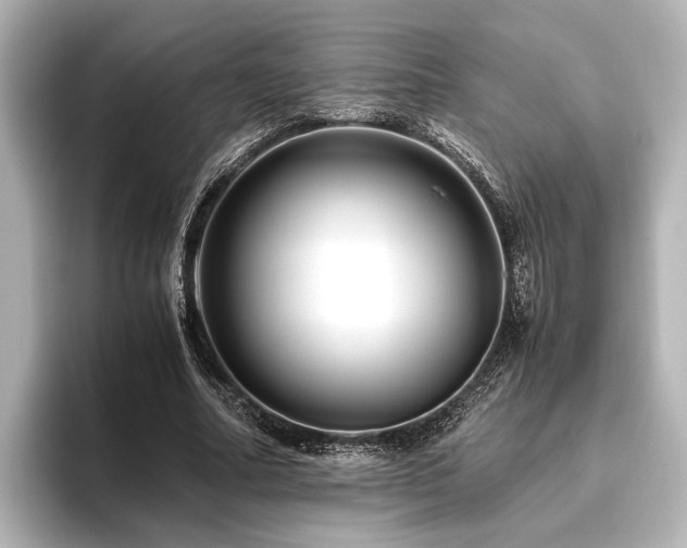 X0000096480682200801241445