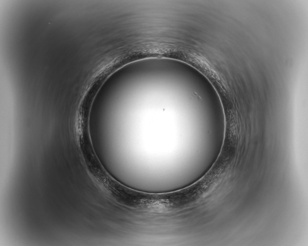 X0000096480683200801241445