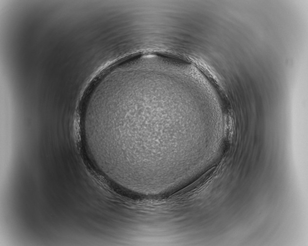 X0000096480684200801241445