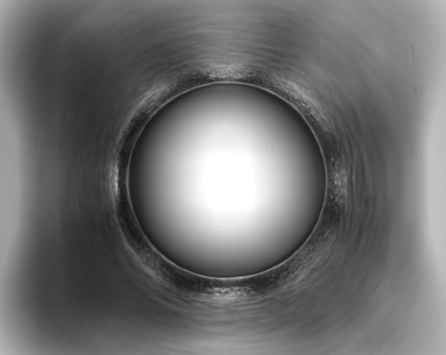 X0000096480686200801241445