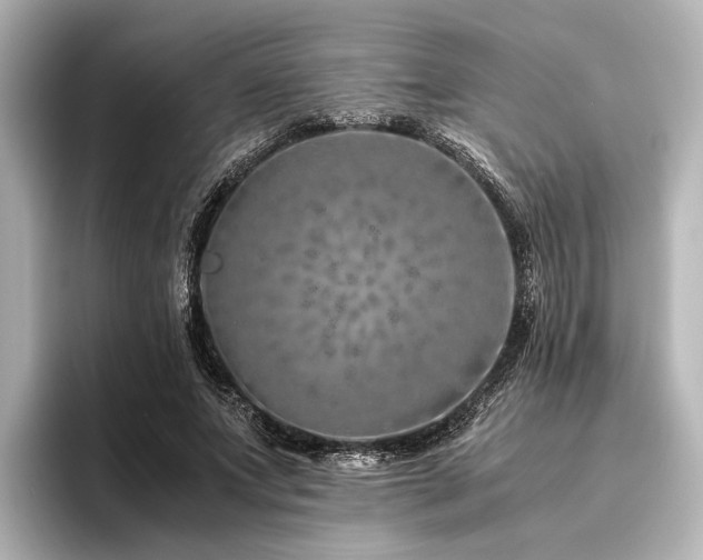 X0000096480687200801241445