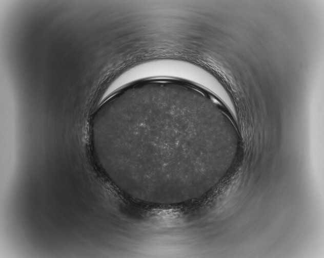 X0000096480689200801241445